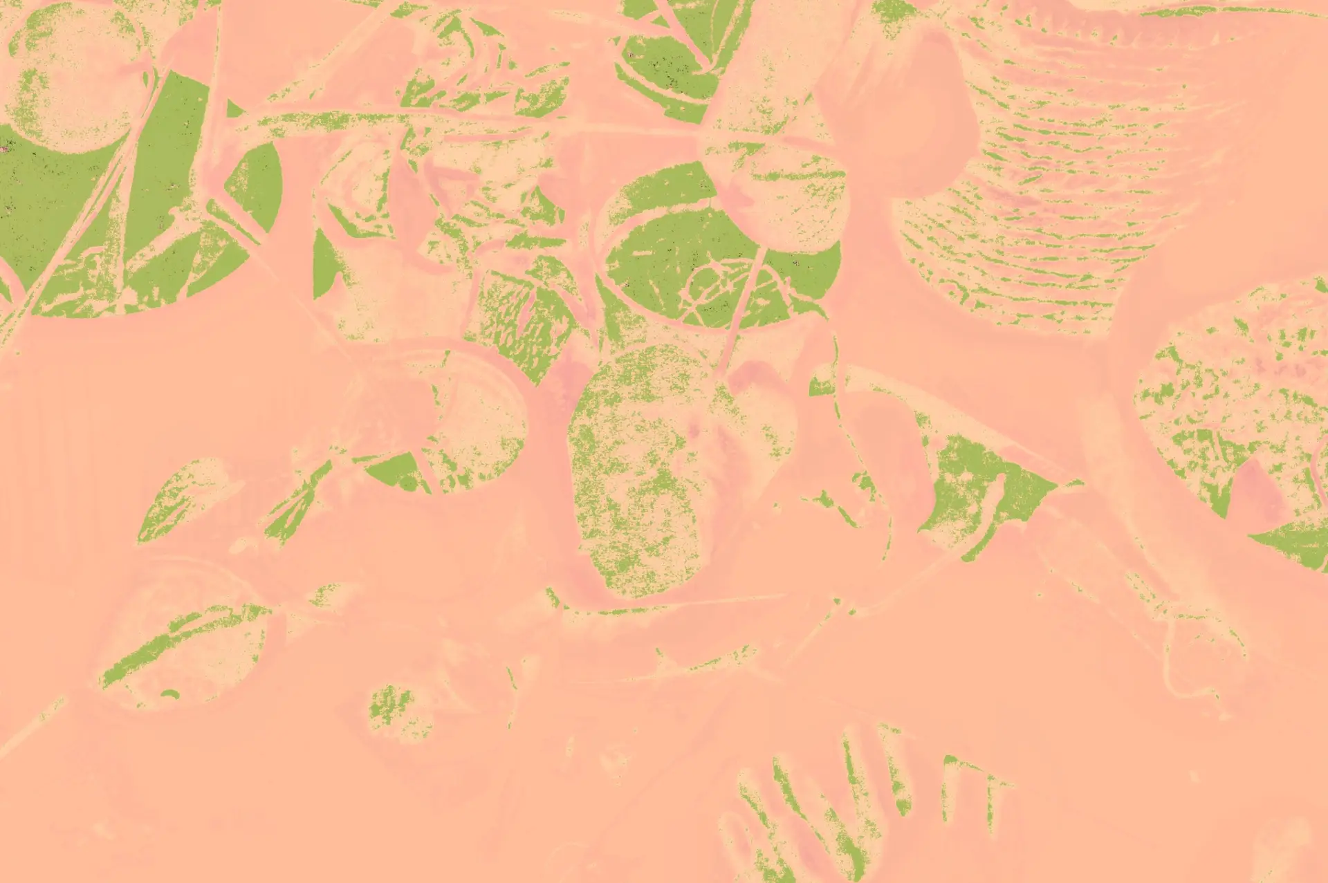 colorful plants