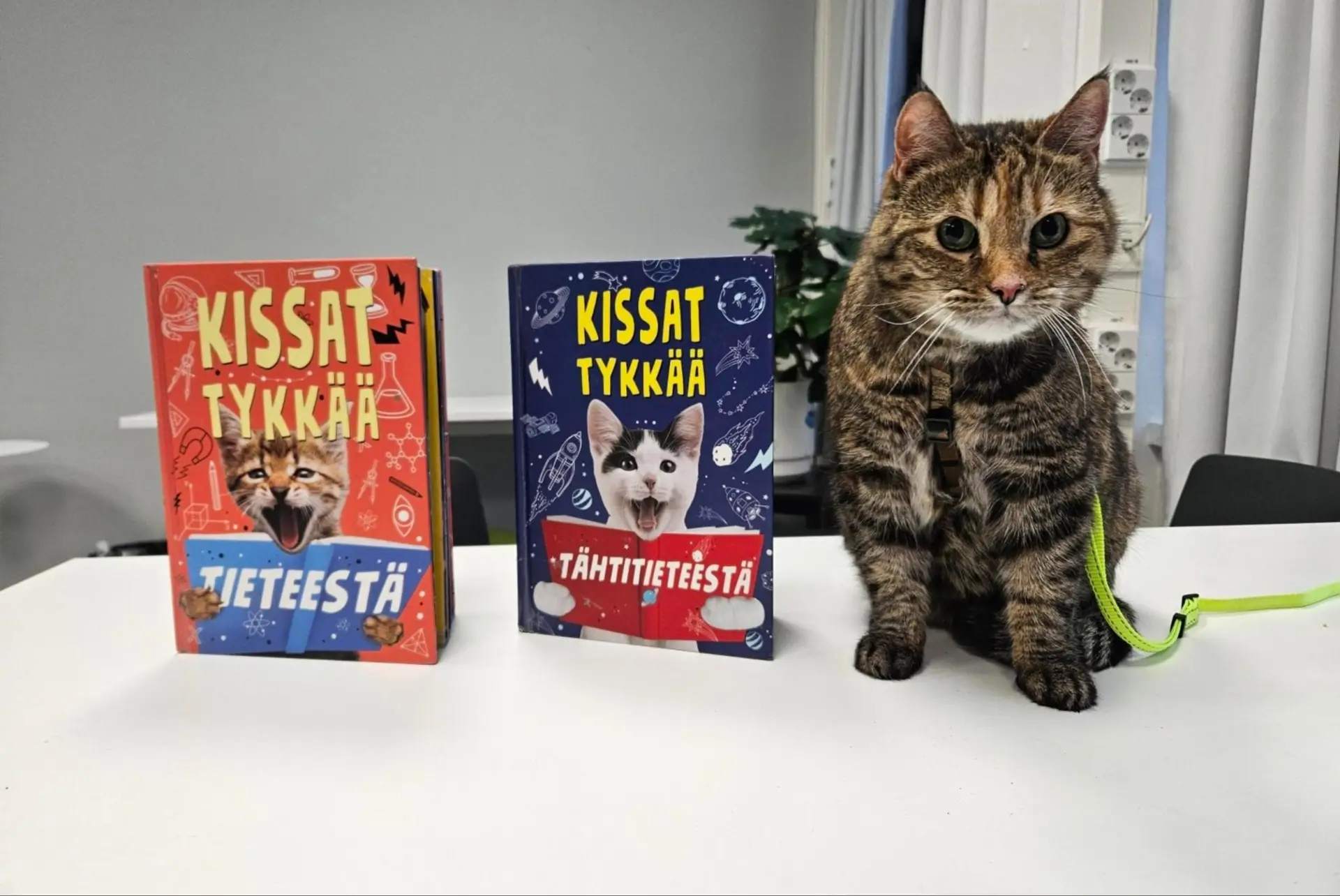 Pöydän päällä on kaksi kirjaa ja kissa niiden vieressä.