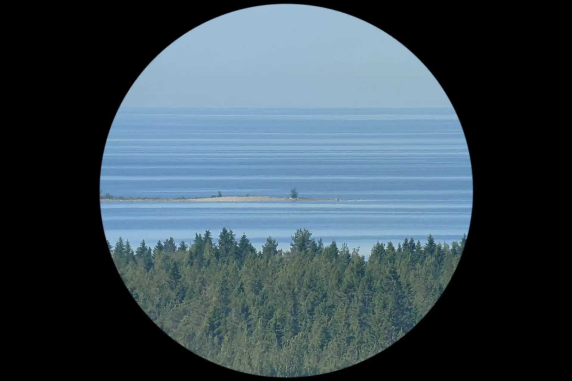 Salla Myllylä: Kajavakari 2025