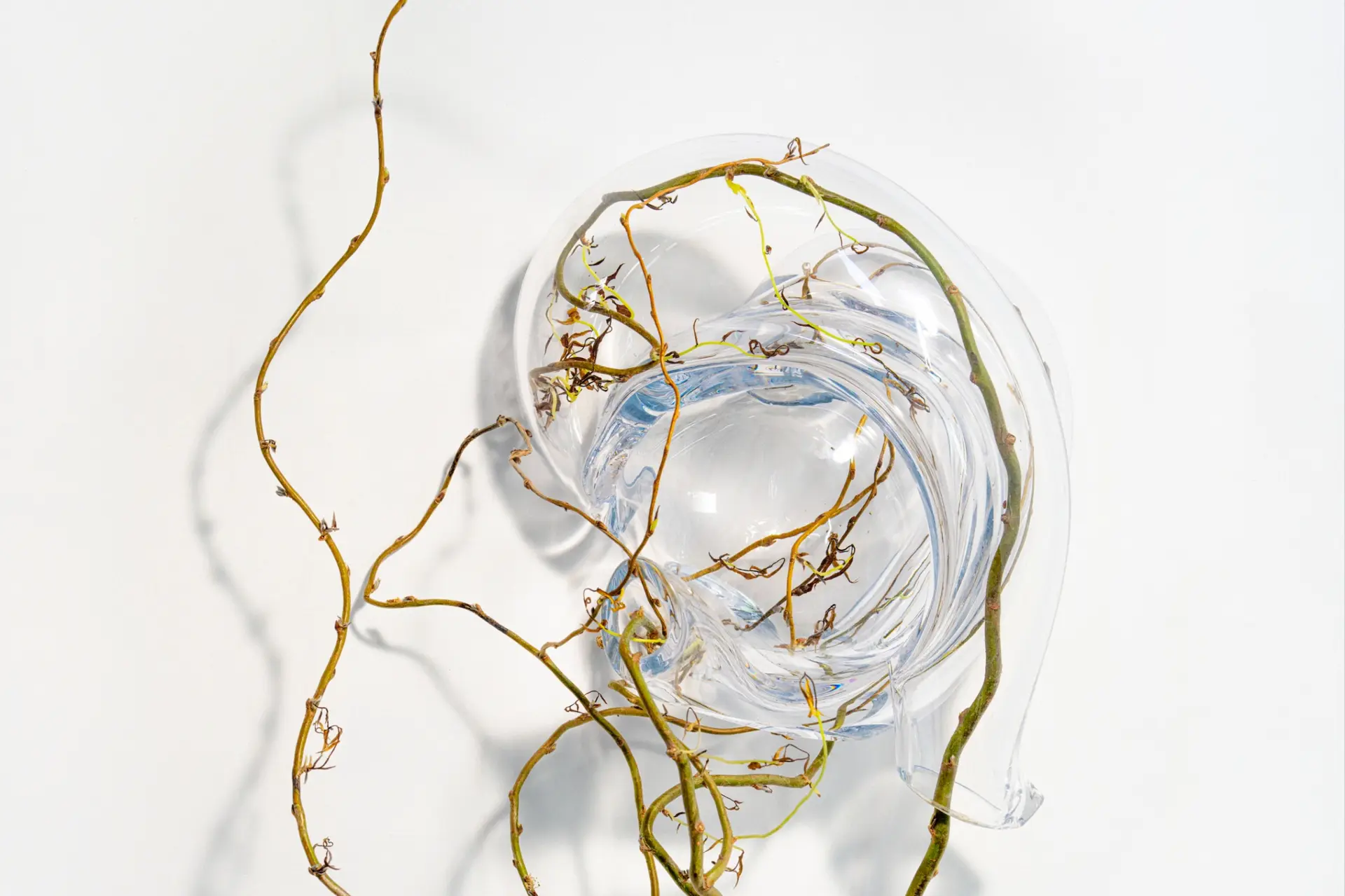 Kosen Ohtsubo & Tuomas A. Laitinen: Mitate 5 (2026), photo print on dibond, museum glass, framed, 150 x 100 cm.