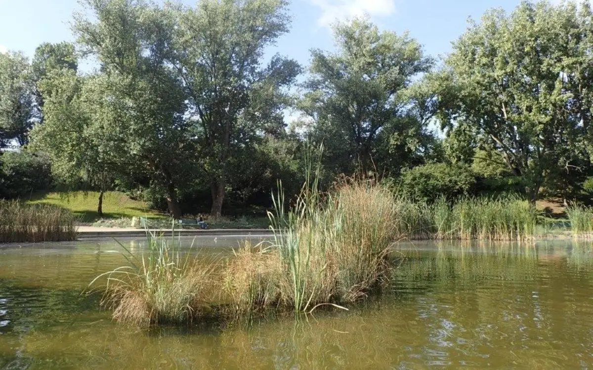 Paris sport proximité : Course à pied au Parc Kellermann