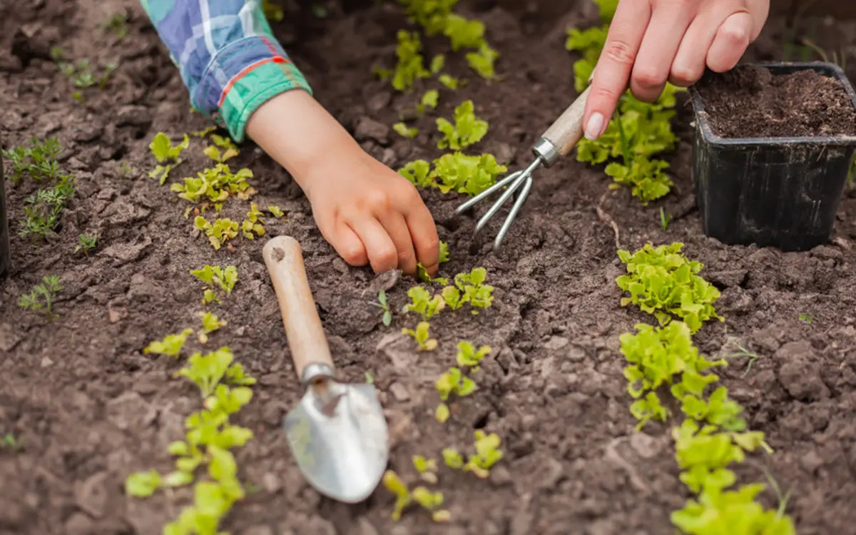 Programme nature à Paris : des balades, ateliers et sorties gratuites pour tous
