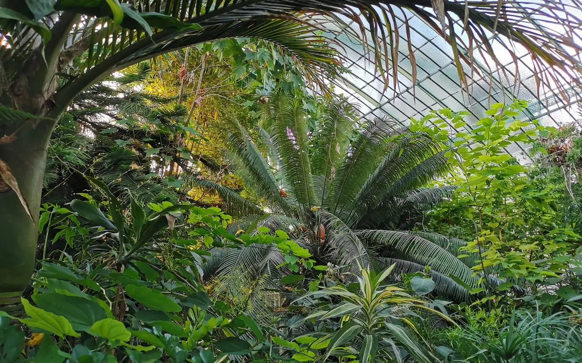 L'une des serres du Jardin des Serres d'Auteuil