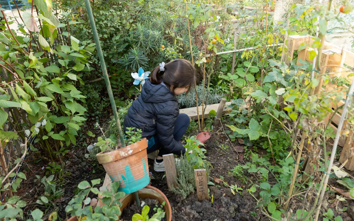 Jardinage
