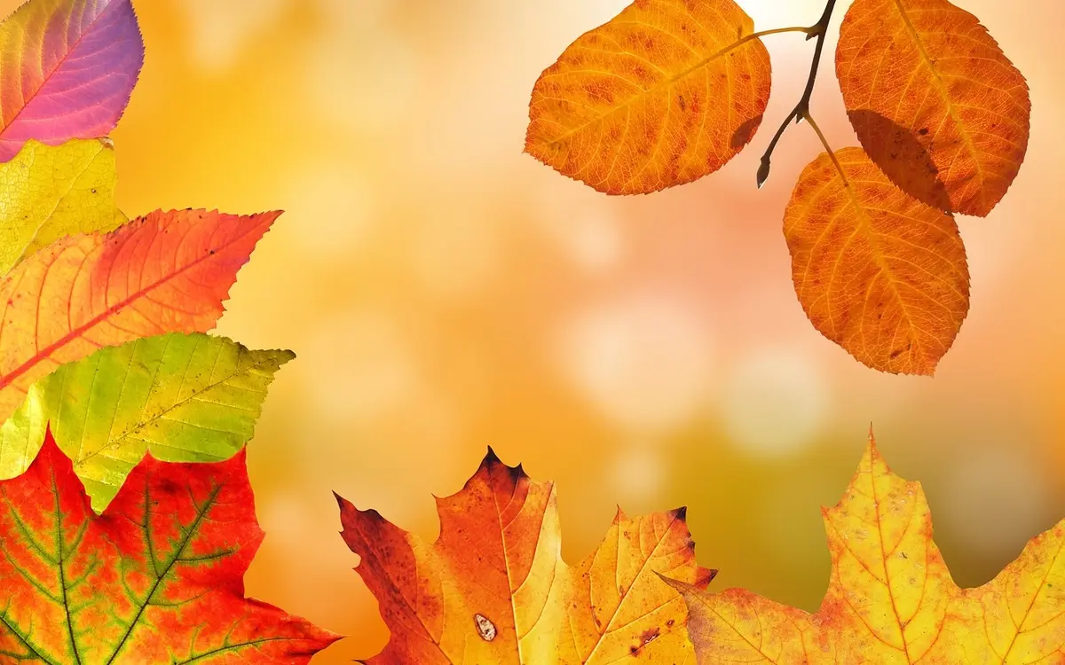 automne