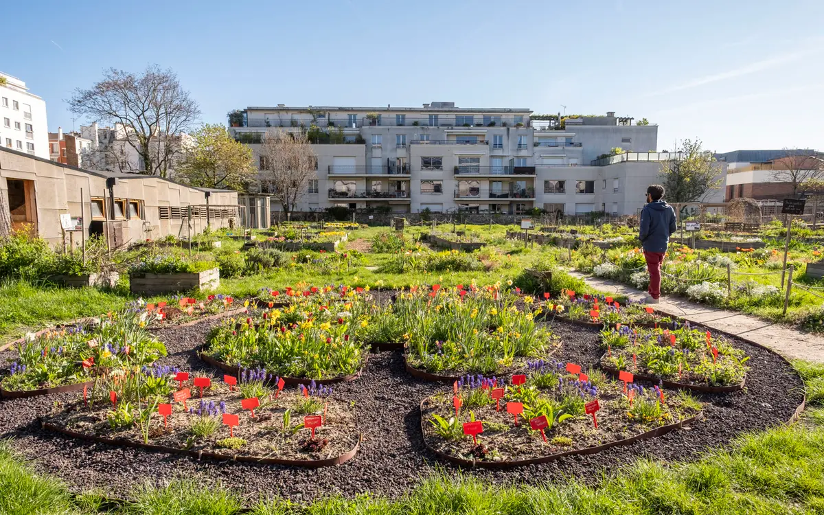 Les activités du Paysan Urbain Paris : le Programme de Octobre 2026