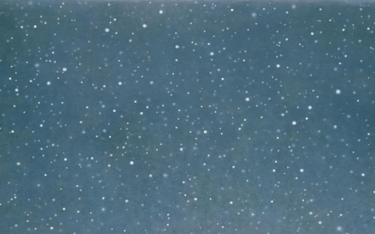 Vija Celmins (1938) Night Sky #11, 1995 © © Vija Celmins, Courtesy Matthew Marks Gallery / Photographie : © Vija Celmins