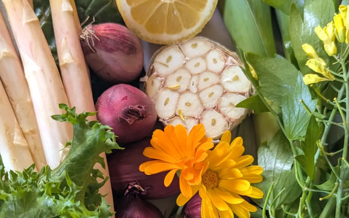 Atelier : Cuisine presque zéro déchet