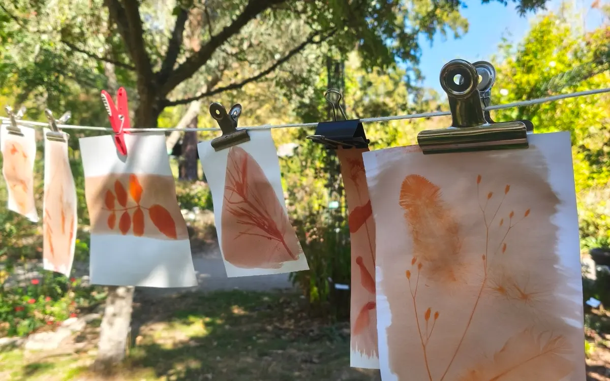 Atelier anthotype