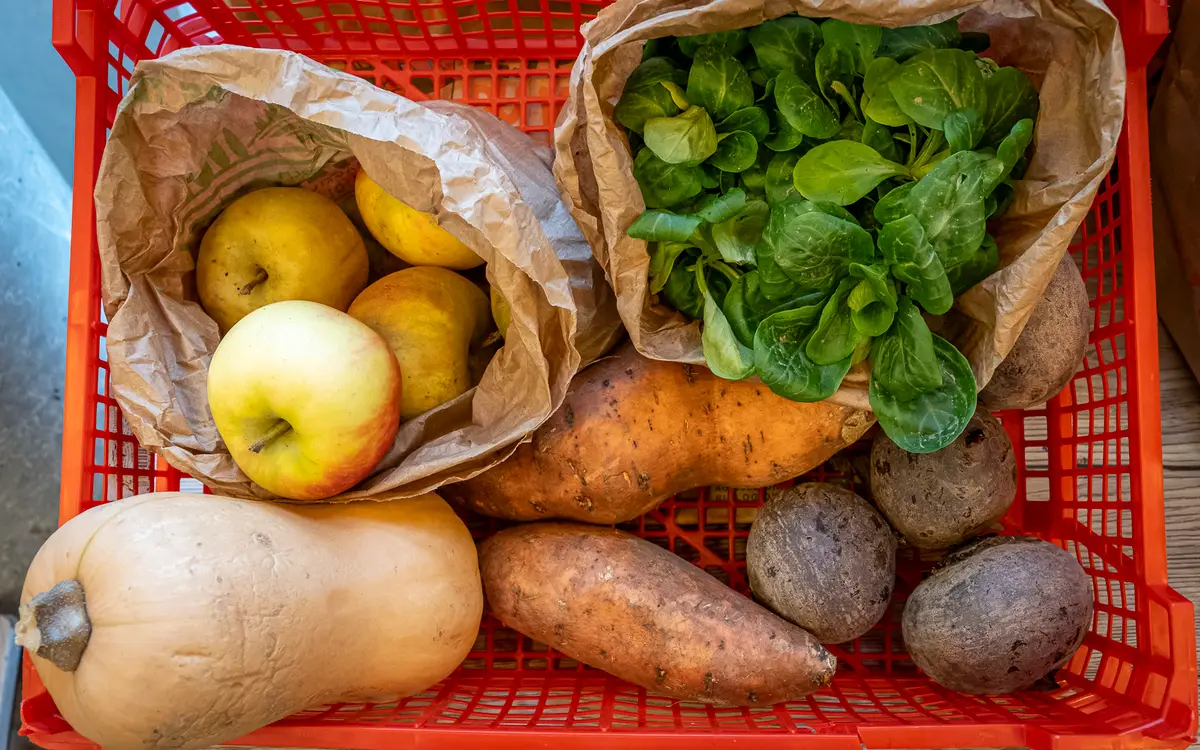 Légumes bio de saison automne hiver
