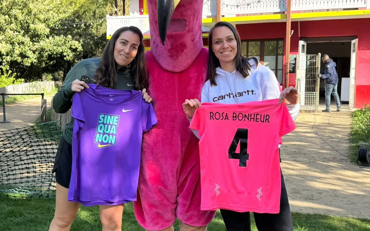 RUN AFTER LIGHT Sine Qua Non et Rosa Bonheur