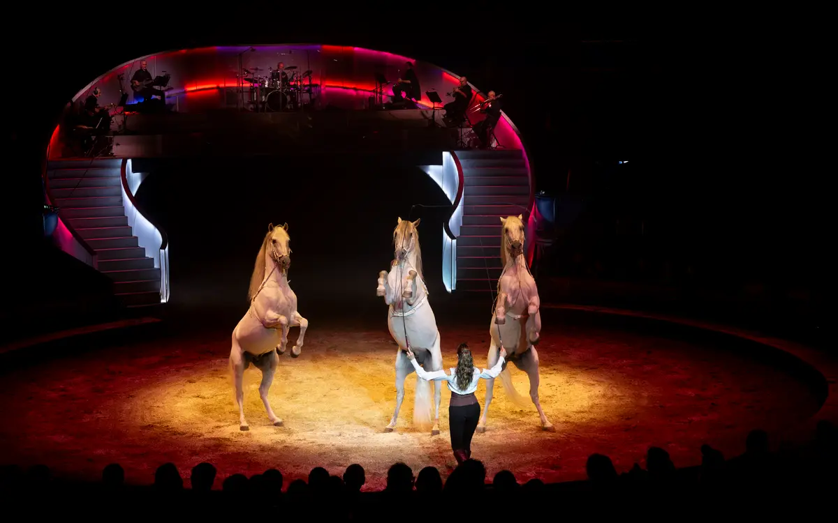 Show les Folies Gruss