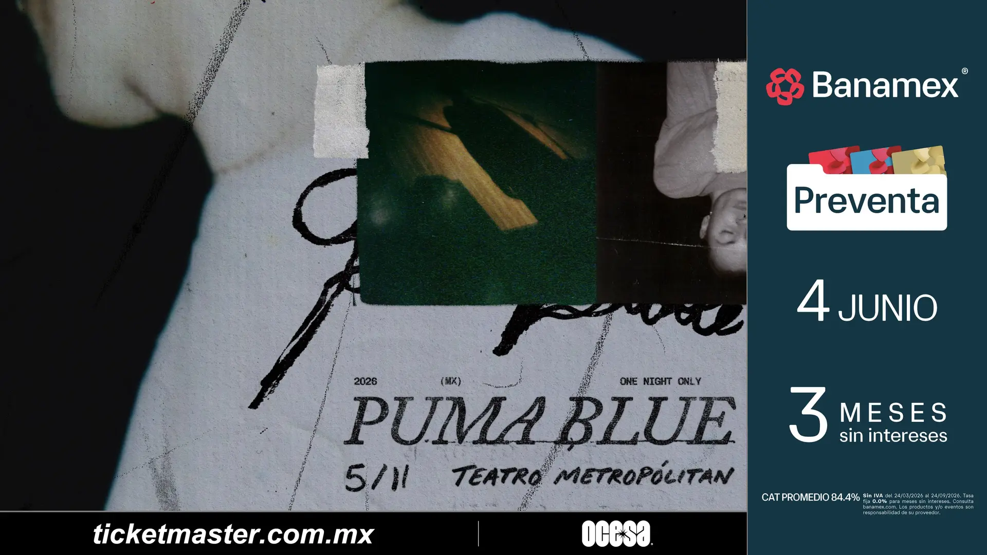 Puma Blue