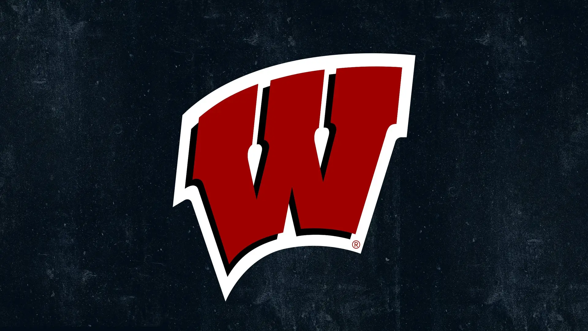 University of Wisconsin Badgers Womens Hockey
