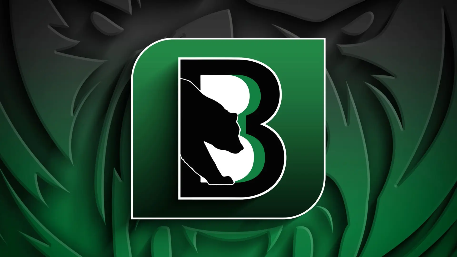 Binghamton Black Bears