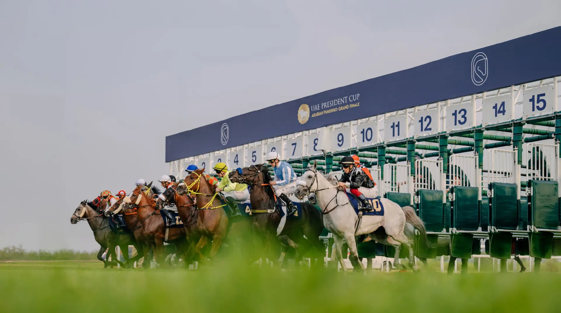 UAE President Cup