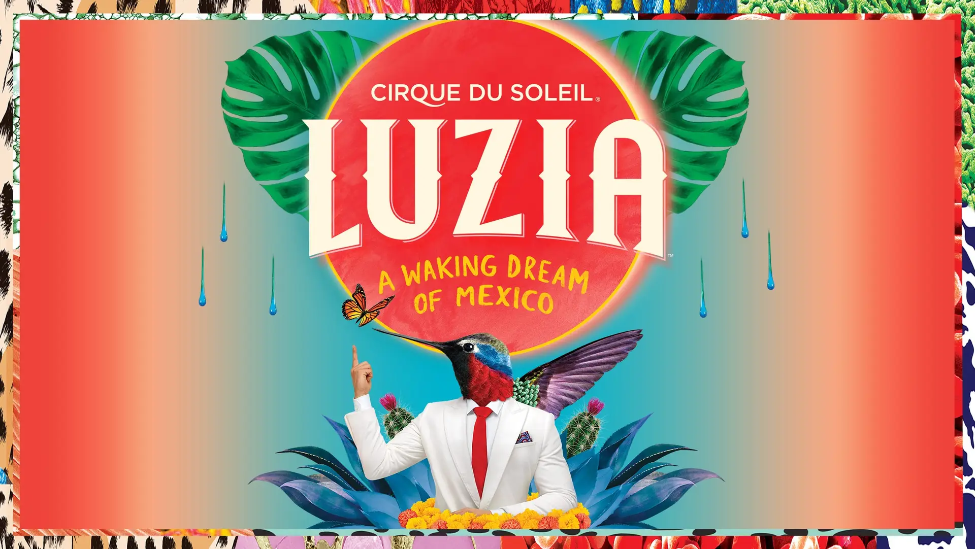 Cirque du Soleil: LUZIA