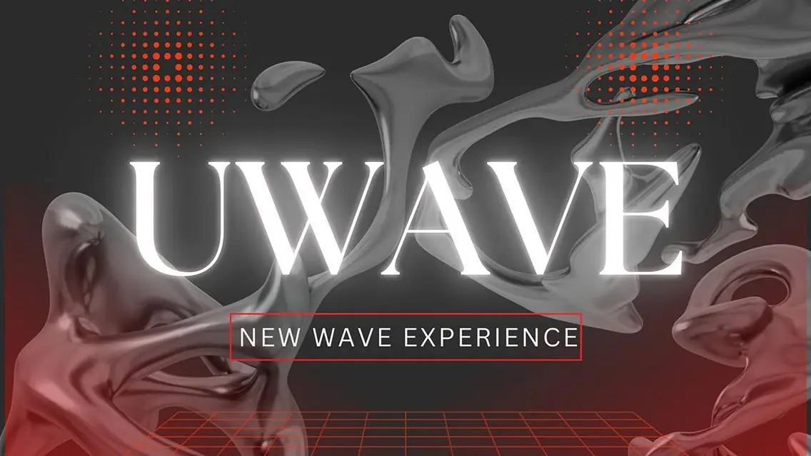 U WAVE (B) - New Wave Experience