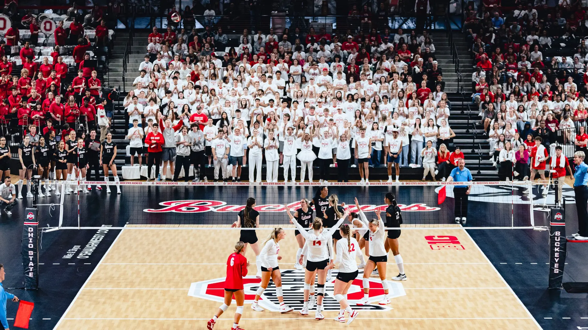 Ohio State Buckeyes Women's Volleyball