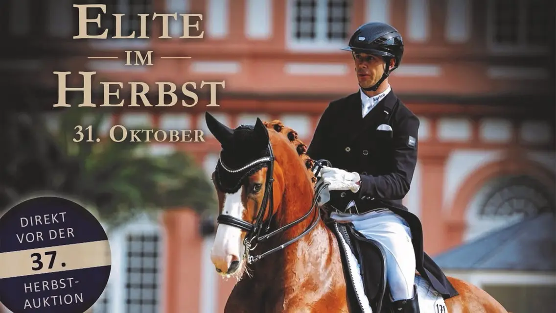 37. Herbstauktion - Elite im Herbst & Masterclass mit Benjamin WerndI
