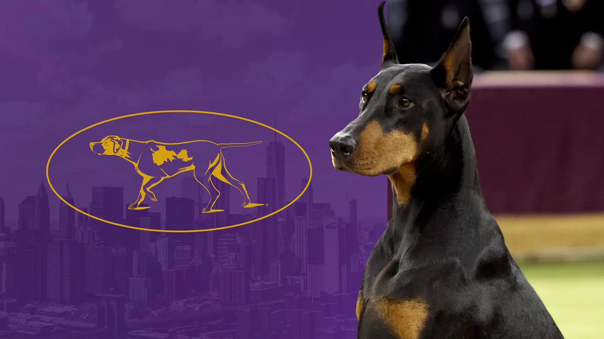 Westminster Kennel Club Dog Show