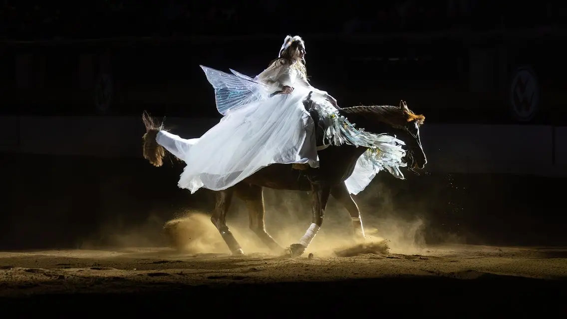 Freestyle Reining - Sun. Jan. 10 3pm
