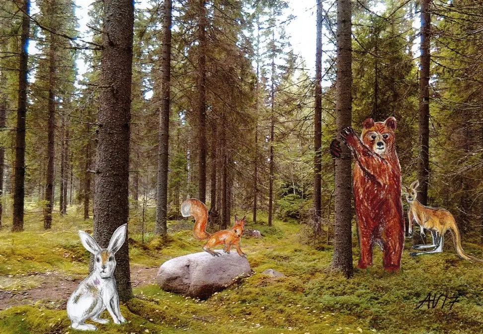 Kuvassa on käsin piirrettyjä eläimiä (orava, karhu, kenguru ja pupu)