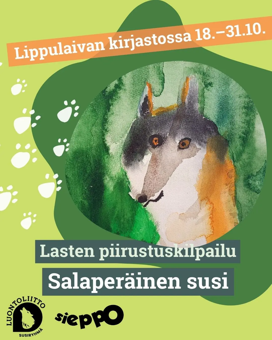 Susi metsässä. Etualalla susi, jossa harmaata, valkoista ja ruskeaa. Taustalla vihreä havupuumetsä.