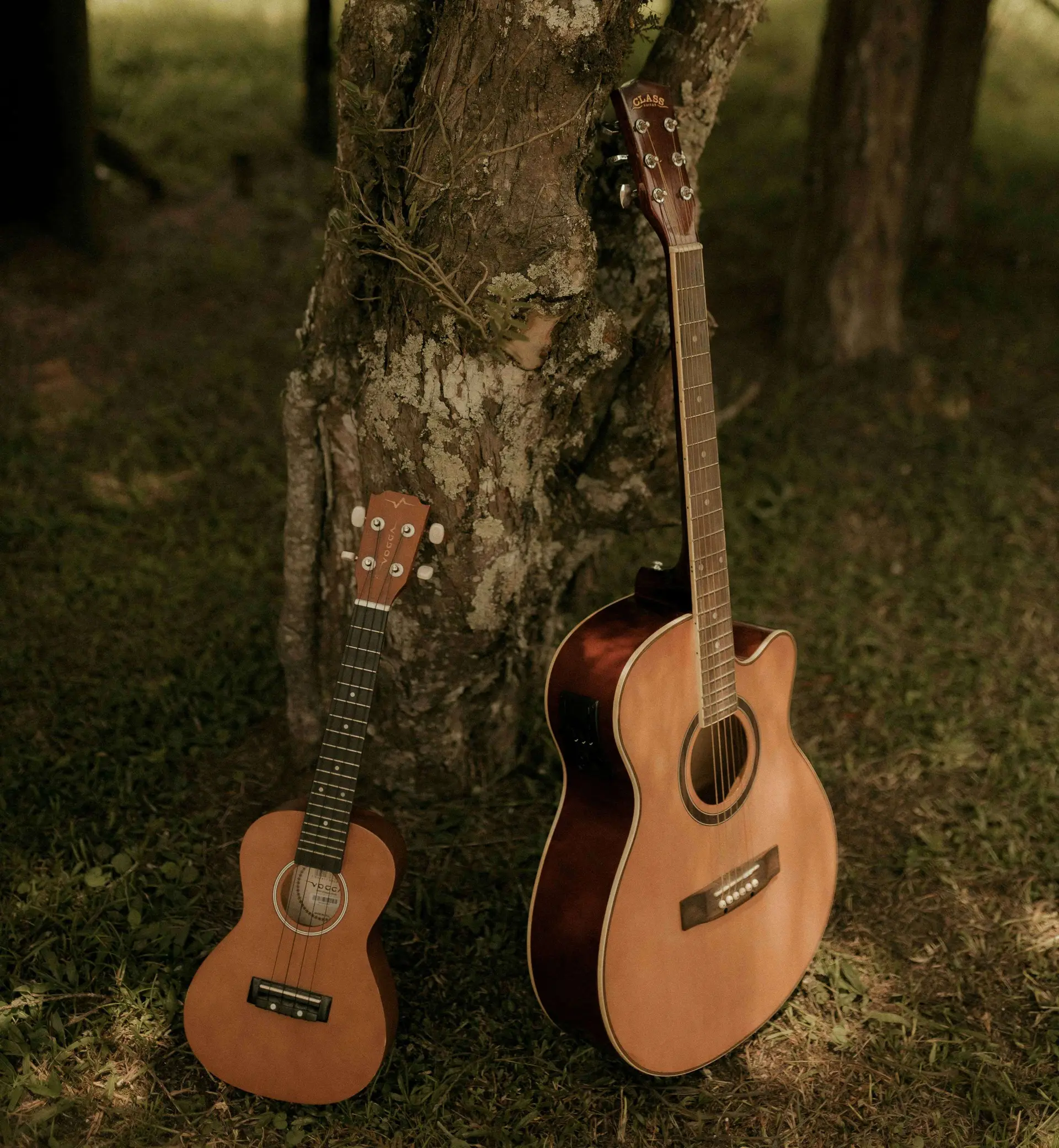 Ukulele ja kitara02